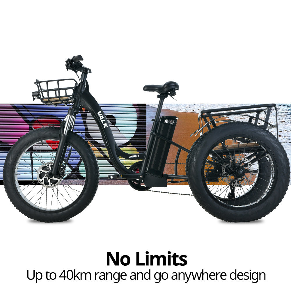 NNEMB Electric Fat Tyre Tricycle, 500W, Throttle, Hydraulic Disc Brakes, Alloy Frame, Suspension, Black-1