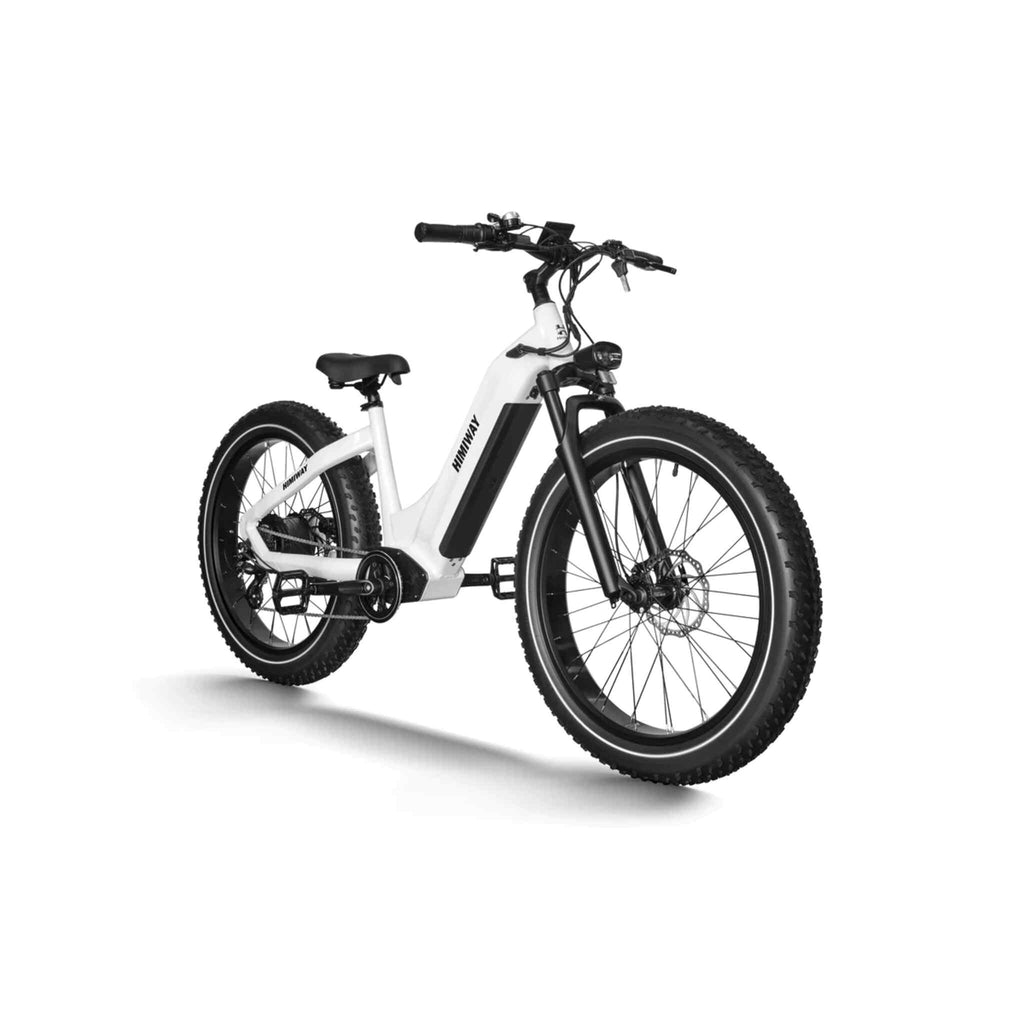 Himiway Zebra D5 2025 E-Bike - Fatbike Electric Bike with Long Range and Powerful Motor-3